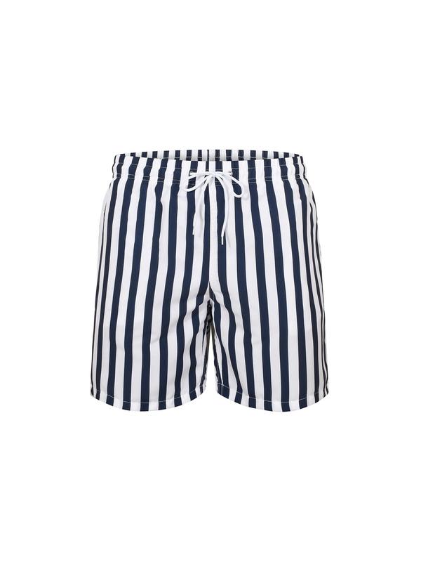 Men's Striped Print Drawstring Waist Shorts, Casual Pocket Straight Leg Shorts, Men's Summer Bottoms for Beach Vacation