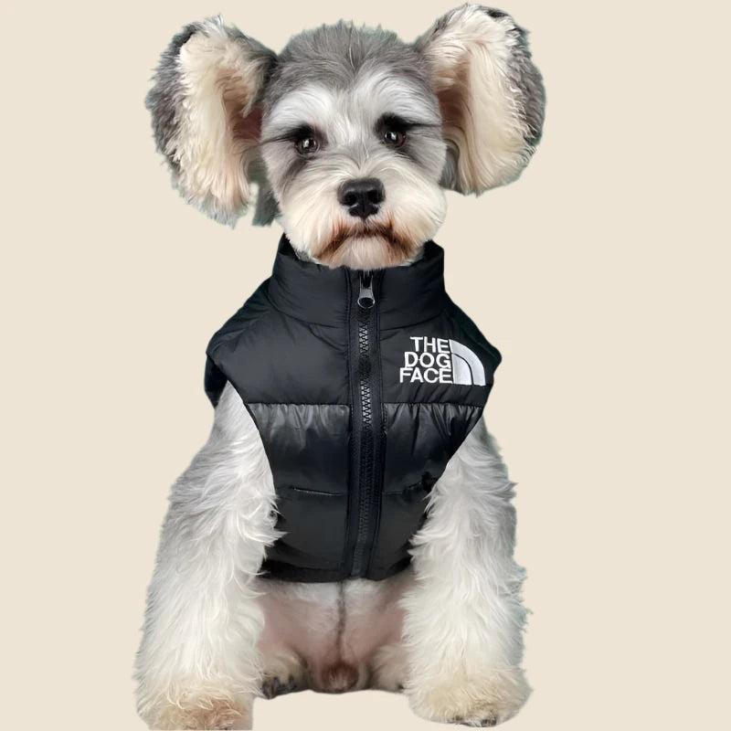 DogFace Gilet